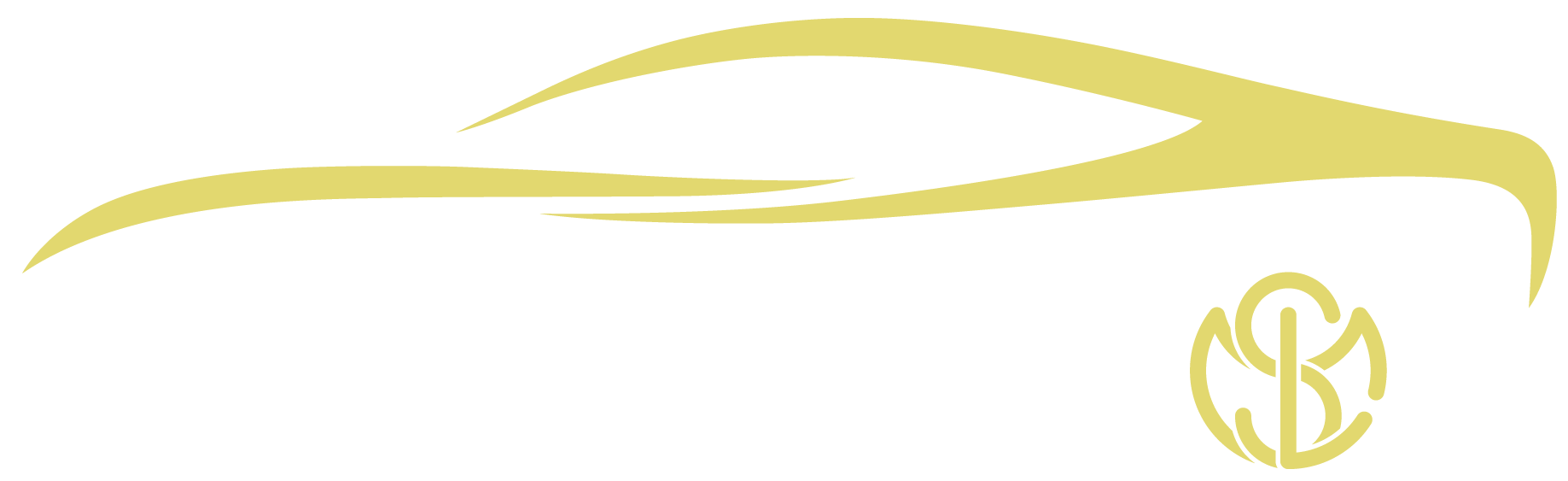 Limousine Service - Metro Star Limo